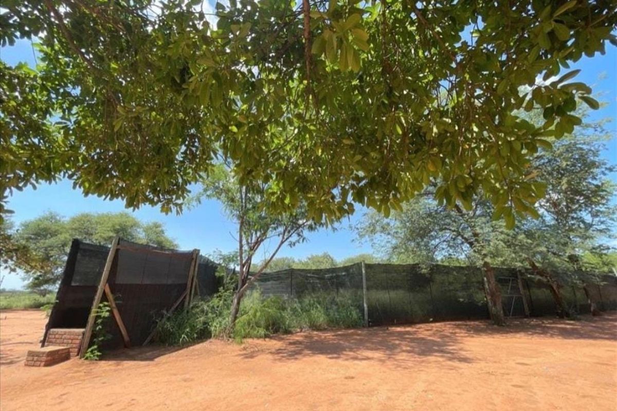 900Ha Game Farm with Luxury Lodge and Full Solar Exceptional Investment Opportunity - Photo 4