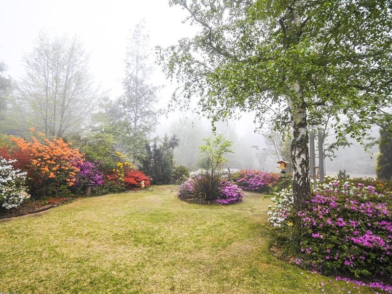 A lush, well-maintained garden featuring mature trees, vibrant flowering shrubs, and a manicured lawn, set against a misty, tranquil backdrop.