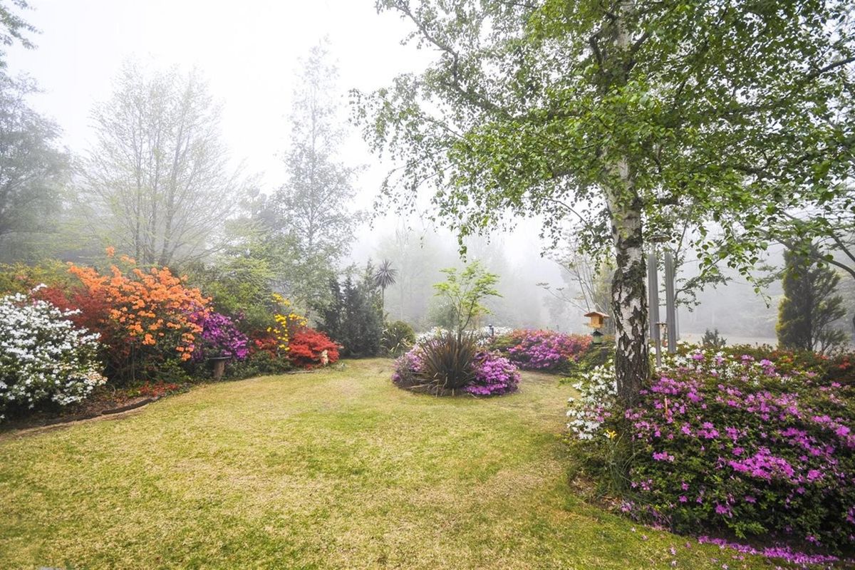 A Magical Hogsback Sanctuary - Fully Furnished Lifestyle and Income Opportunity!!! - Photo 2