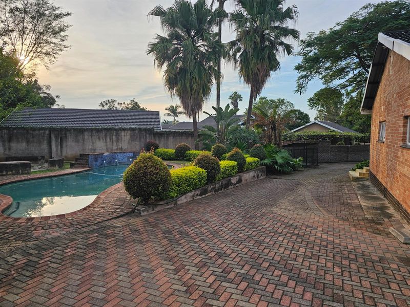 Spacious backyard featuring a swimming pool with tiled surround, paved driveway area, and established garden landscaping.