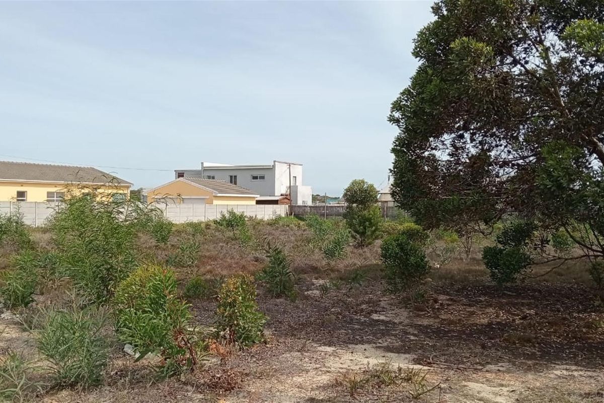 A vacant residential plot featuring natural vegetation, shrubs, and mature trees, enclosed by perimeter boundary walls in a developed neighborhood.