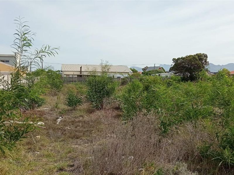 1179m2 Coastal Sanctuary in Fisherhaven - Prime Investment Opportunity - Photo 8