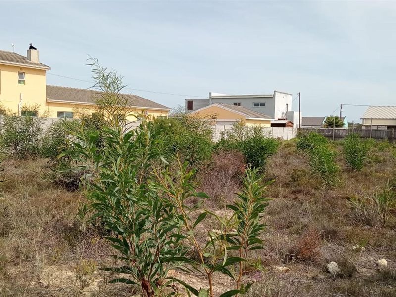 1179m2 Coastal Sanctuary in Fisherhaven - Prime Investment Opportunity - Photo 10