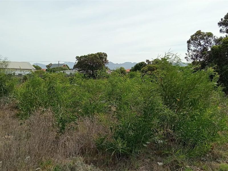 1179m2 Coastal Sanctuary in Fisherhaven - Prime Investment Opportunity - Photo 7