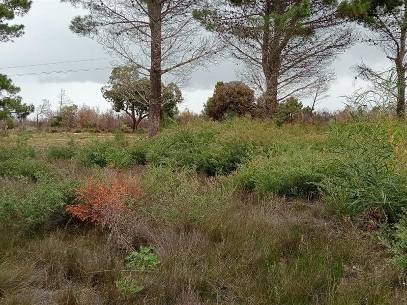 Double-Erf Masterpiece in Fisherhaven - Space Meets Opportunity - Photo 7