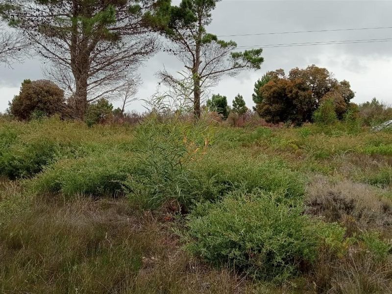 Double-Erf Masterpiece in Fisherhaven - Space Meets Opportunity - Photo 6