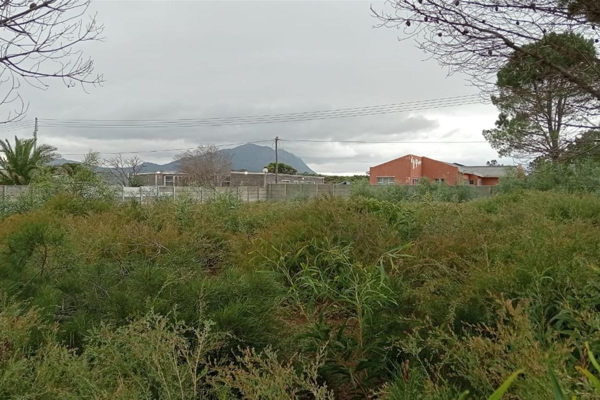 Double-Erf Masterpiece in Fisherhaven - Space Meets Opportunity - Photo 3