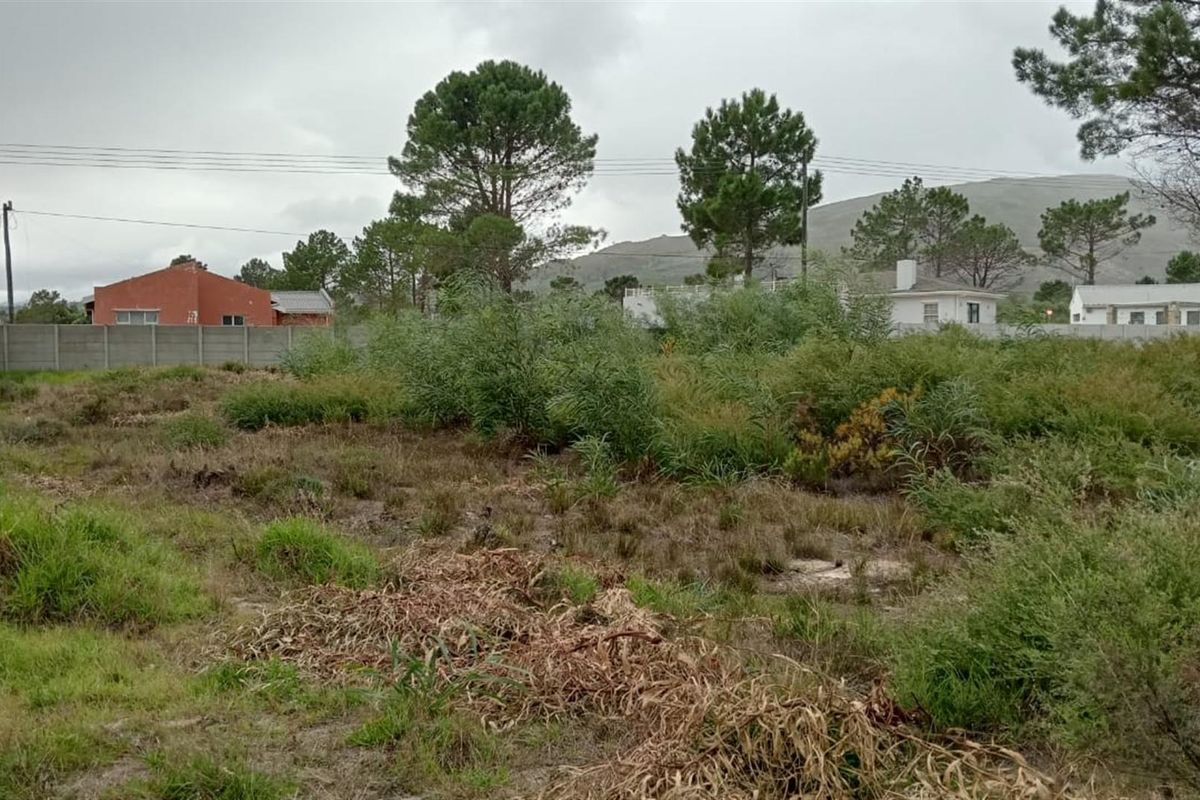 Double-Erf Masterpiece in Fisherhaven - Space Meets Opportunity - Photo 4