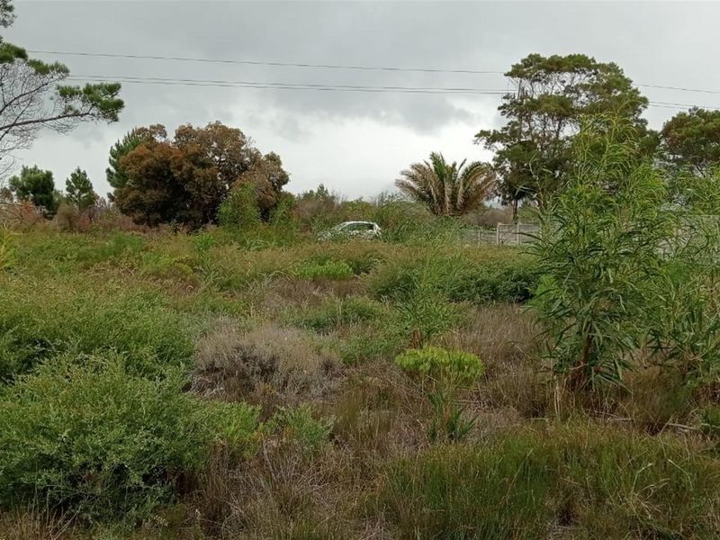 Double-Erf Masterpiece in Fisherhaven - Space Meets Opportunity - Photo 5