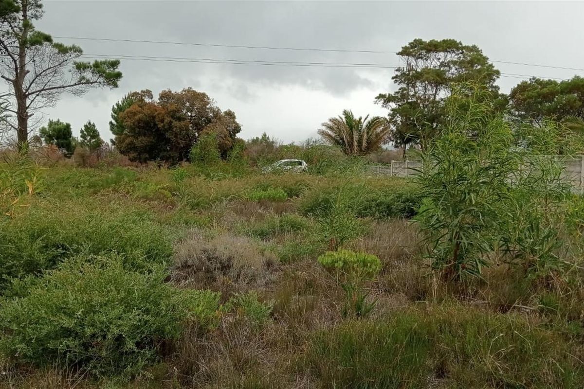 Double-Erf Masterpiece in Fisherhaven - Space Meets Opportunity - Photo 5