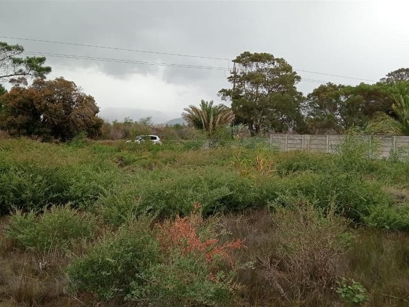 Double-Erf Masterpiece in Fisherhaven - Space Meets Opportunity - Photo 9