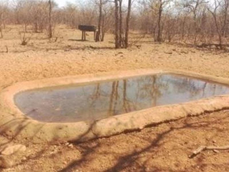 EXCEPTIONAL GAME FARM AND LODGE FOR SALE - Photo 8