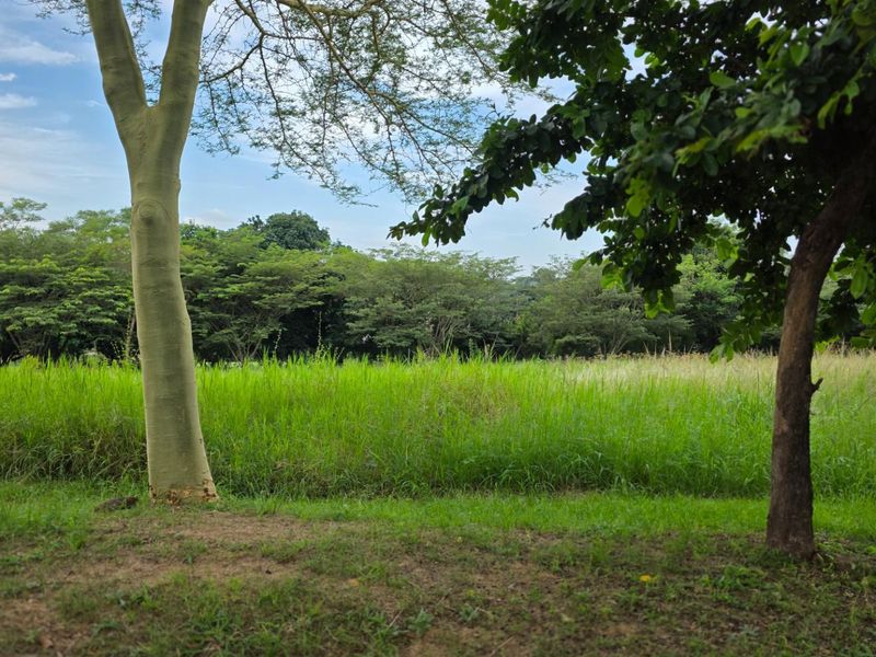 Vacant Land For Sale in Hazyview - Photo 2