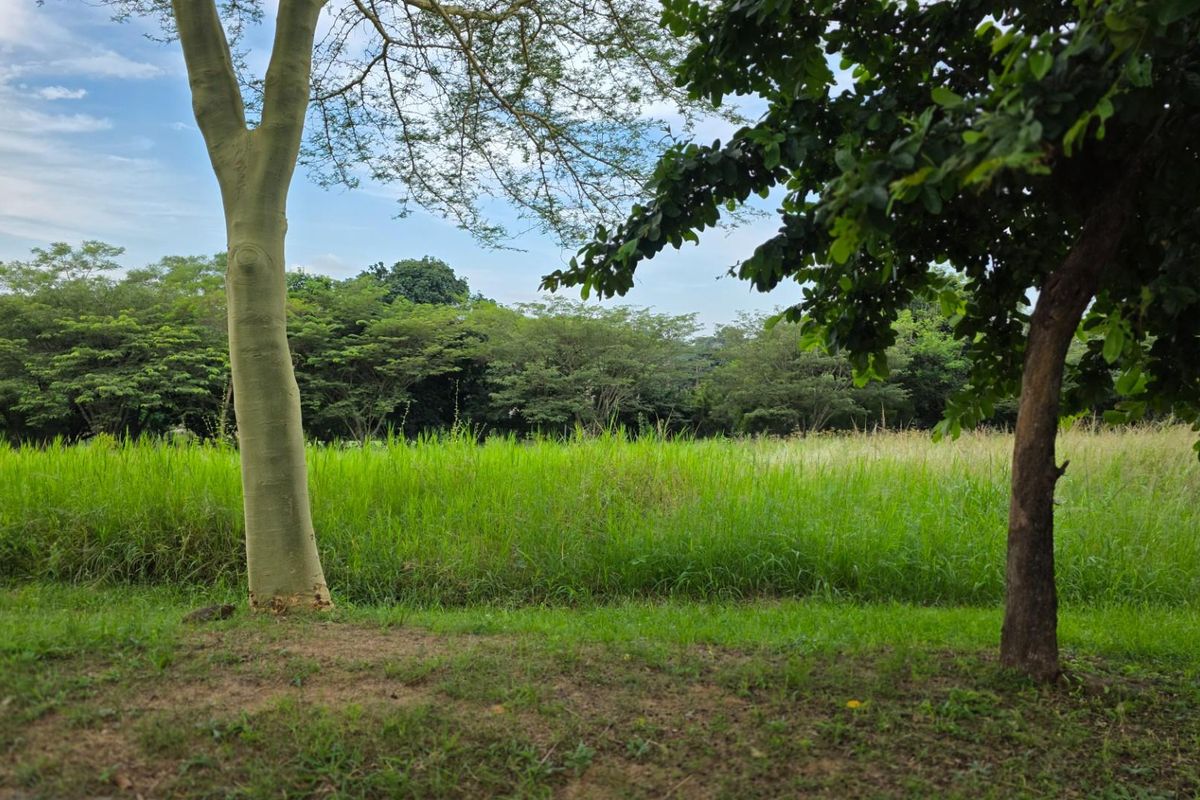 Vacant Land For Sale in Hazyview - Photo 2