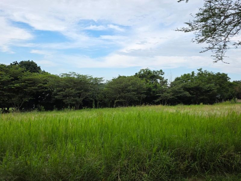 Vacant Land For Sale in Hazyview - Photo 3