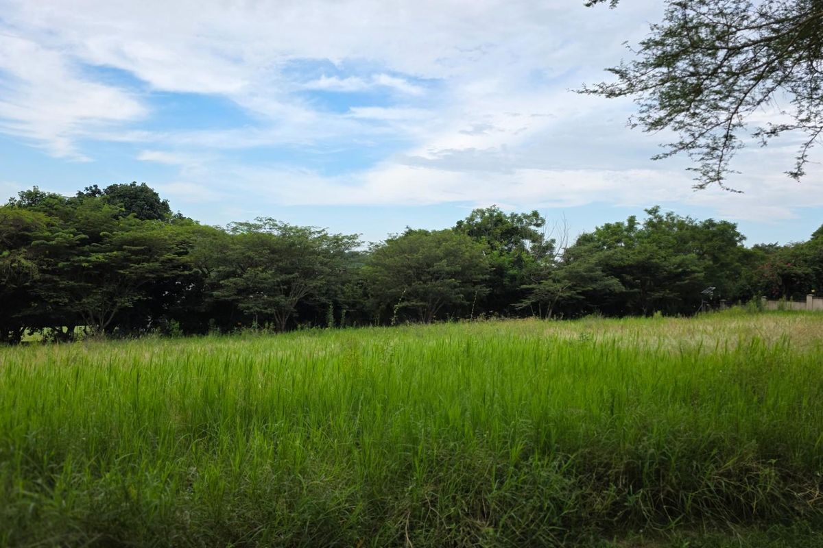 Vacant Land For Sale in Hazyview - Photo 3