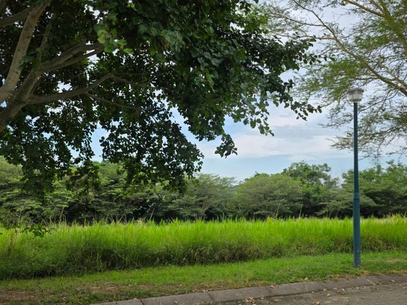 Vacant Land For Sale in Hazyview - Photo 4