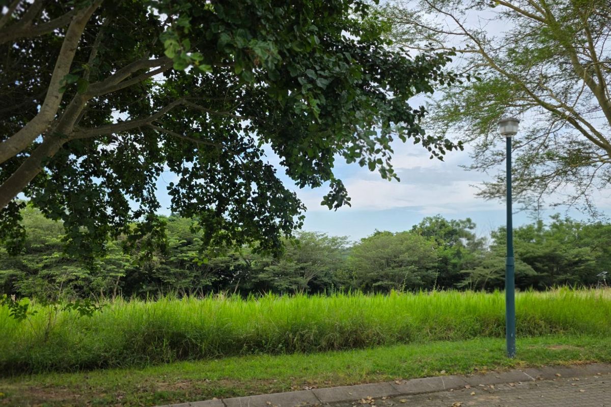 Vacant Land For Sale in Hazyview - Photo 4