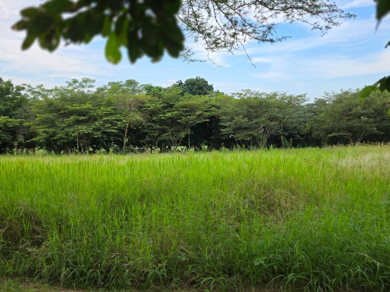 Vacant Land For Sale in Hazyview - Photo 5