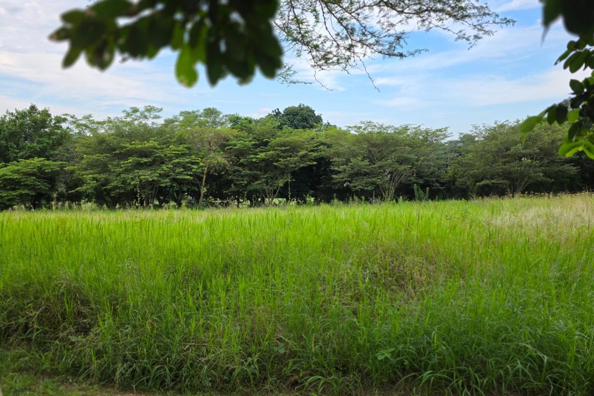 Vacant Land For Sale in Hazyview - Photo 5