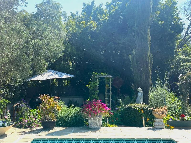 A sanctuary in the highly sought-after Helderberg slopes-Somerset West.Exceptional in/outdoor living - Photo 4