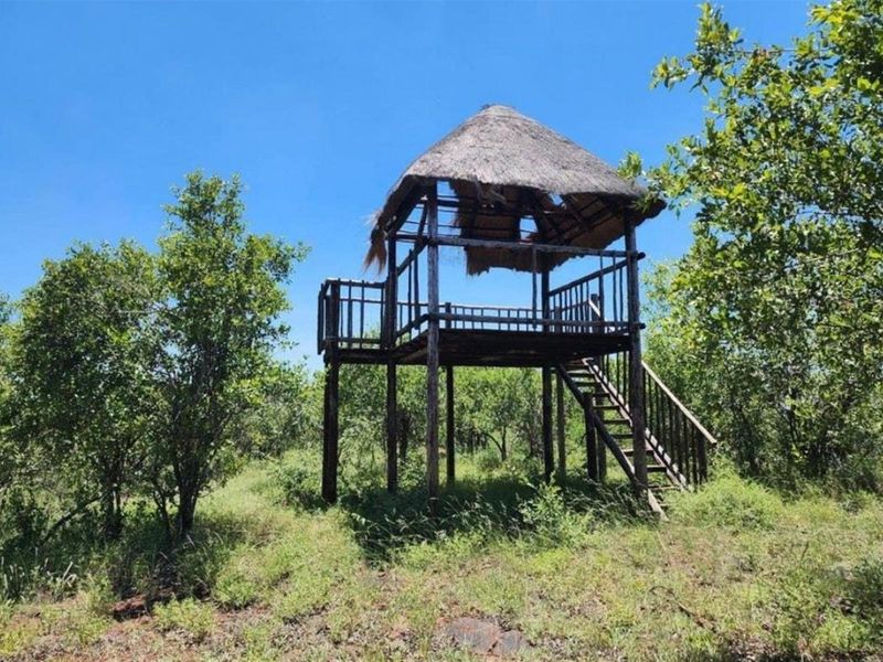 EXQUISITE 2,070 HA GAME FARM FOR SALE NEAR MUSINA, LIMPOPO - Photo 4