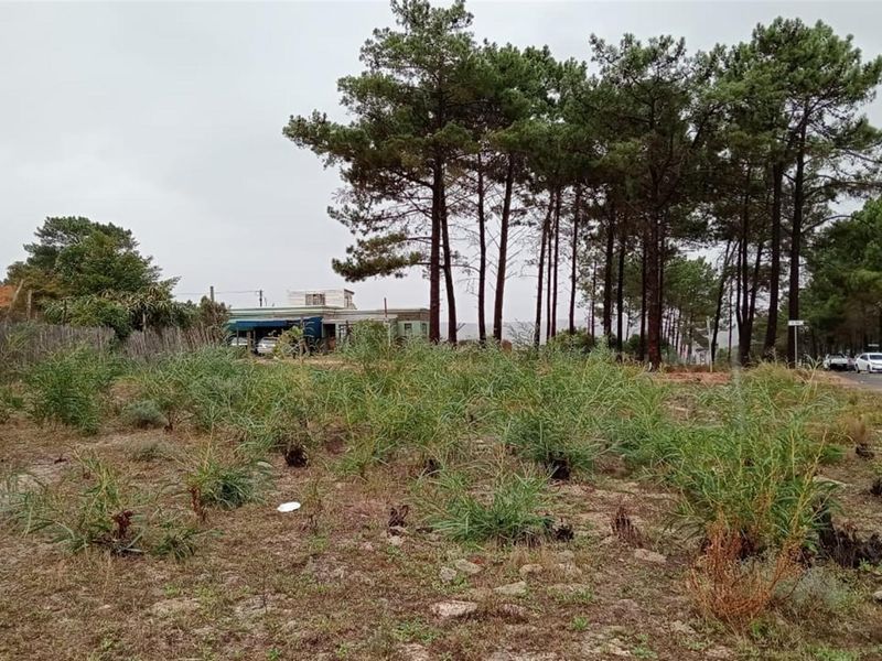 Botrivier Corner Jewel - A Rare Investment in Nature’s Embrace - Photo 8