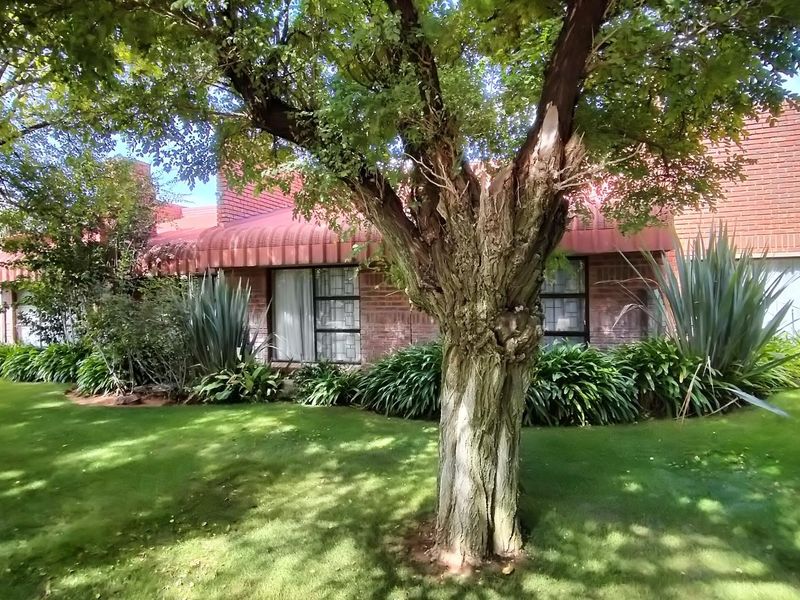 Exclusive Modern Family home with a lot to offer for the selective Buyer - Photo 2