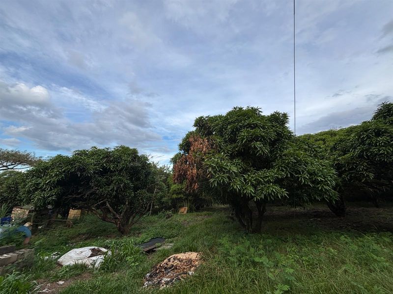 Farm For Sale in Nelspruit Rural, Nelspruit - Photo 8