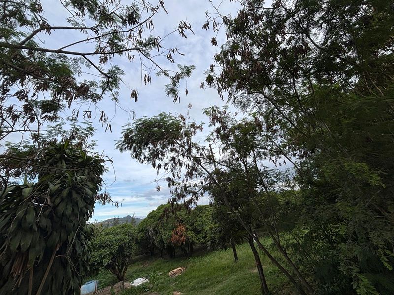 Farm For Sale in Nelspruit Rural, Nelspruit - Photo 6