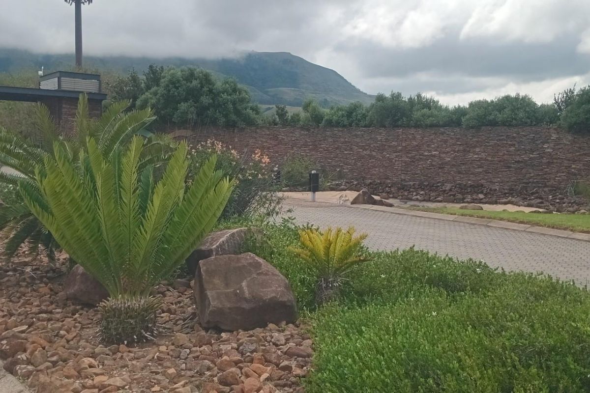 A view of the landscaped entrance area featuring stone boundary walls, paved driveway, and established garden beds with cycads and rock features.