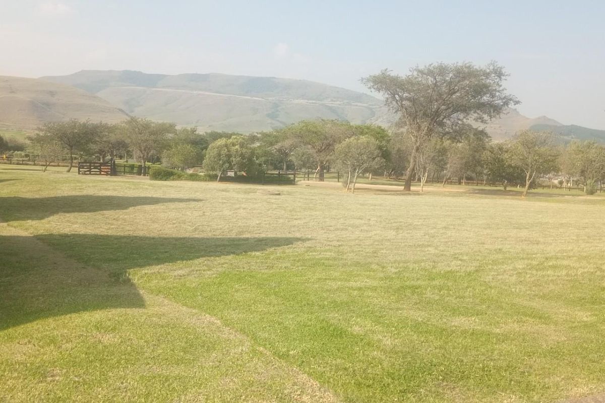 A spacious, well-maintained grassy residential plot featuring mature trees and scenic mountain views in the background.