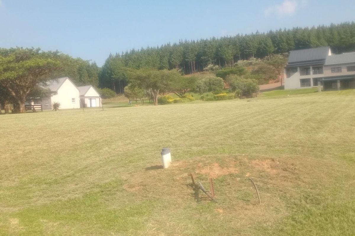 A wide view of a vacant residential plot featuring manicured grass, mature trees, and surrounding estate buildings.