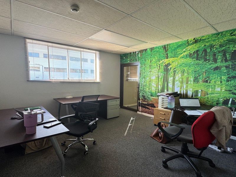 A functional commercial office space featuring a suspended ceiling, carpeted flooring, and a large forest-themed wall mural.