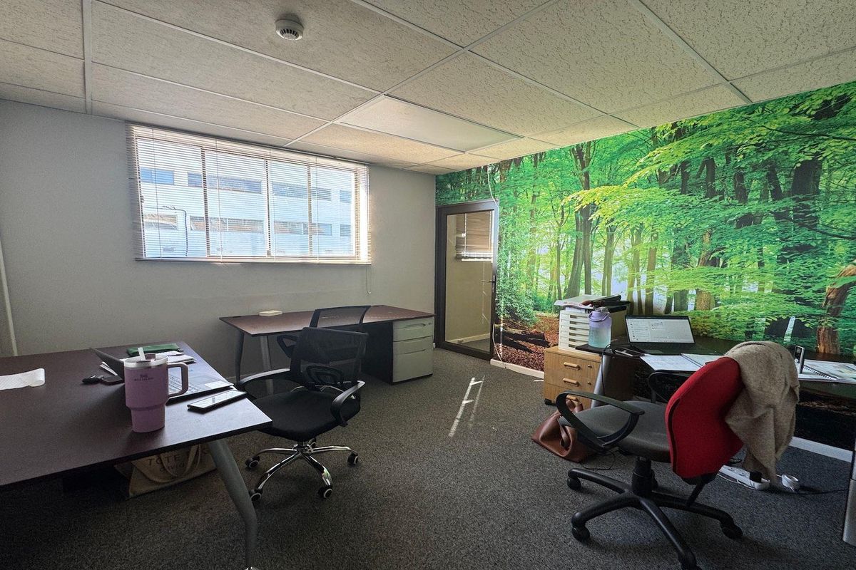 A functional commercial office space featuring a suspended ceiling, carpeted flooring, and a large forest-themed wall mural.