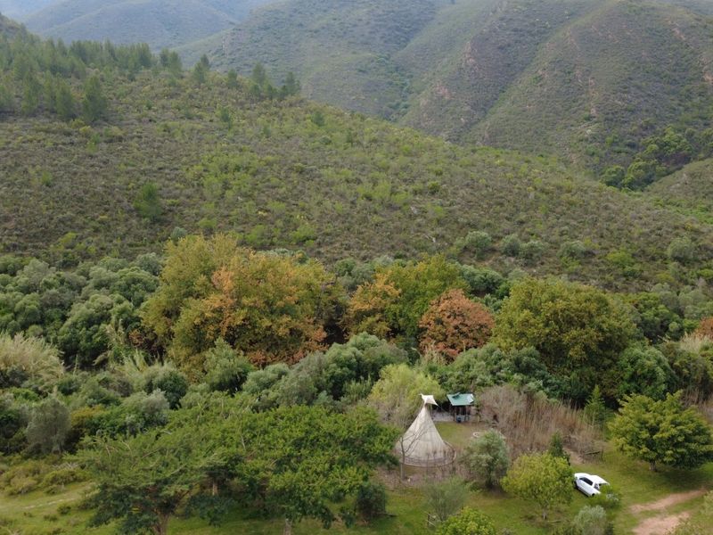 Escape to The Country: A 13-Hectare Life-Change Opportunity - Photo 10