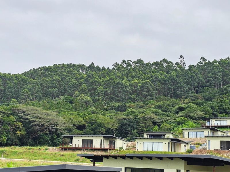 Build Your Dream Home in Serenity Hills Eco Estate - Prime Level Stand - Photo 9