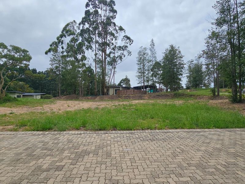 Build Your Dream Home in Serenity Hills Eco Estate - Prime Level Stand - Photo 7