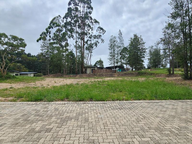 Build Your Dream Home in Serenity Hills Eco Estate - Prime Level Stand - Photo 8