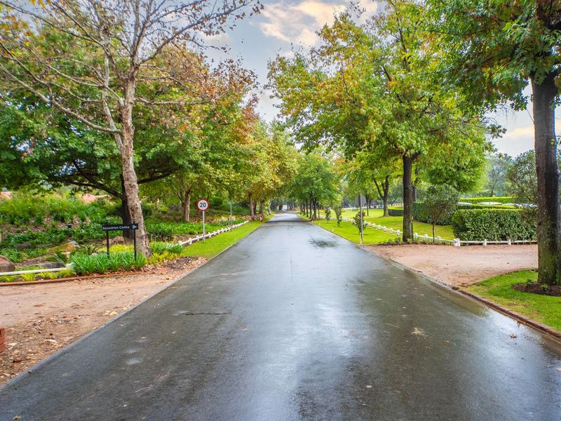 A scenic paved driveway lined with mature trees and manicured landscaping, leading through the residential estate grounds.