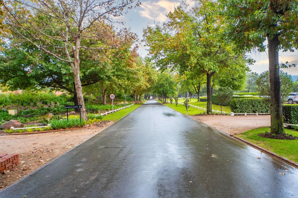 A scenic paved driveway lined with mature trees and manicured landscaping, leading through the residential estate grounds.