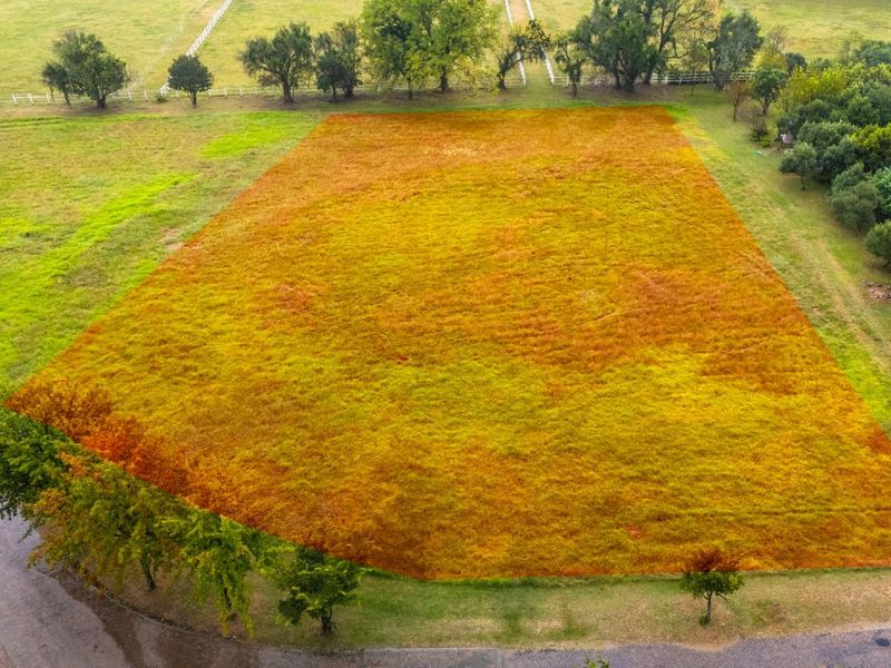 An aerial view of a vacant residential plot featuring a clear, grass-covered building site with established trees and surrounding neighborhood infrastructure.