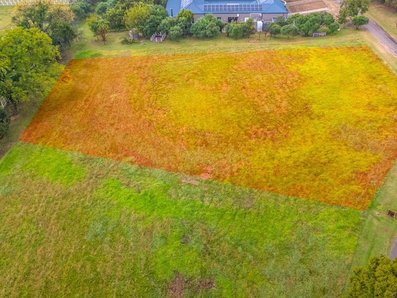 An aerial view of a vacant residential plot featuring established grass and surrounding mature trees in a quiet neighborhood setting.