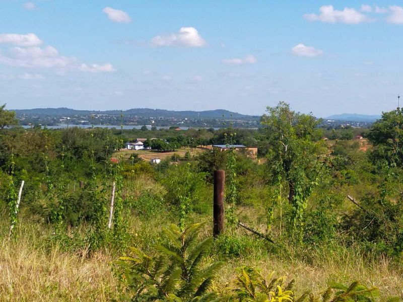 A scenic elevated view overlooking the surrounding landscape, featuring natural vegetation and distant residential structures.