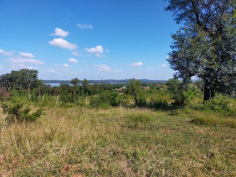 A scenic view overlooking a natural landscape with mature trees and a distant water body, showcasing the property's expansive outdoor setting.