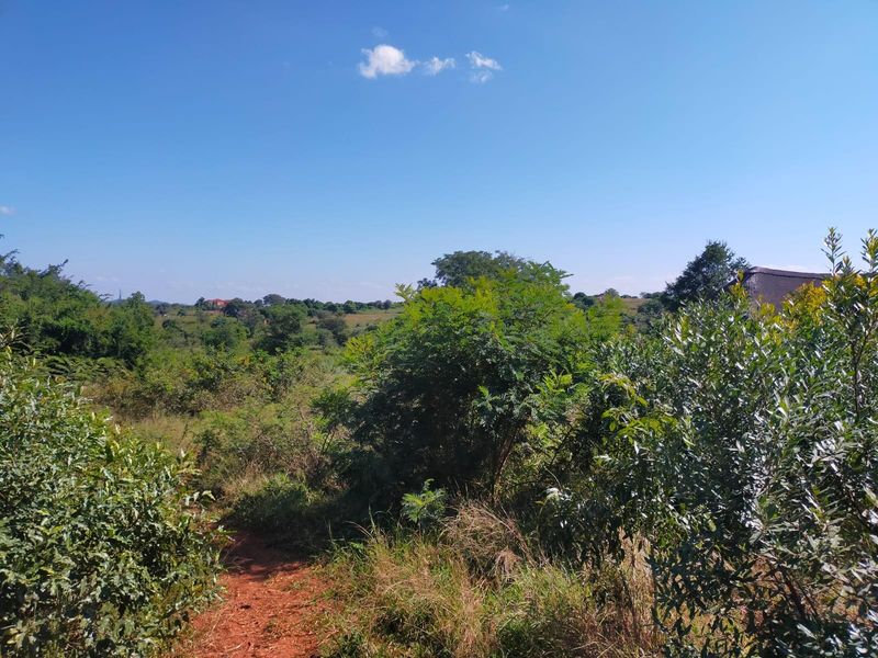 A scenic view of the natural landscape and surrounding vegetation on the vacant commercial property.