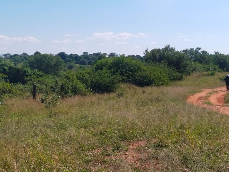A view of the vacant commercial land featuring natural vegetation, a dirt access road, and perimeter fencing.