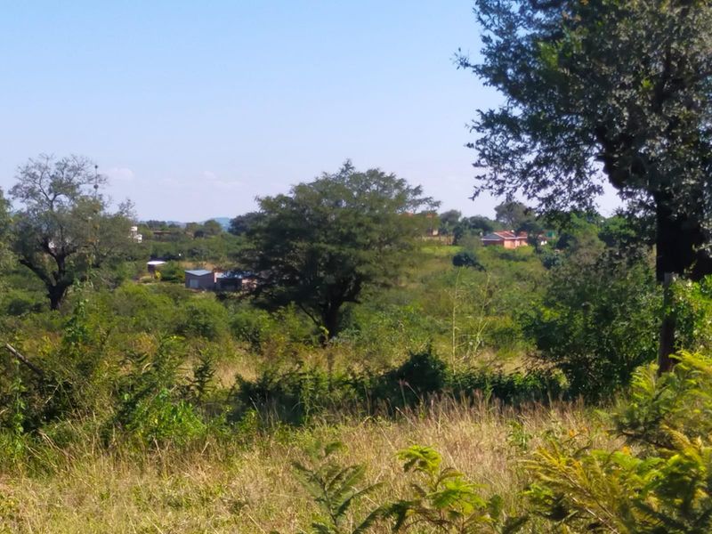 A scenic view of the vacant land featuring natural vegetation and mature trees with distant residential structures visible in the landscape.