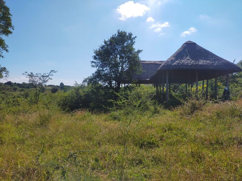 An open-sided pavilion with a traditional thatch roof situated on a large, undeveloped plot of land with significant overgrown vegetation.