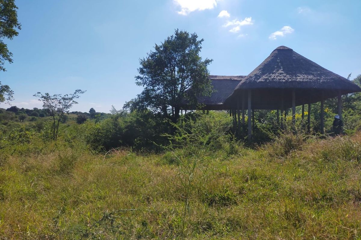 An open-sided pavilion with a traditional thatch roof situated on a large, undeveloped plot of land with significant overgrown vegetation.